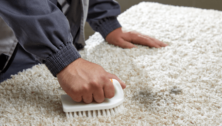 Professional Rug Cleaning Bareena
